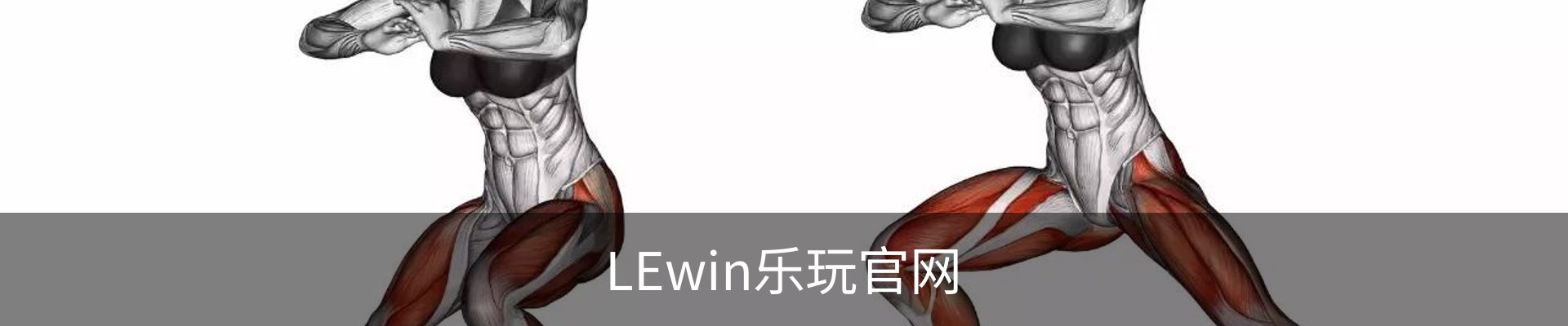 LEwin乐玩官网